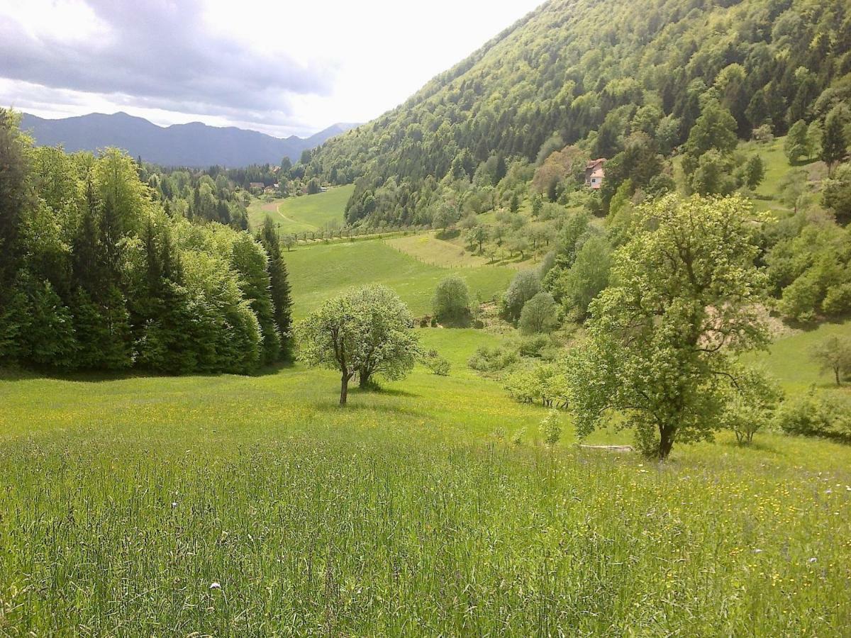 Blue Cottage Podvrh  Екстериор снимка