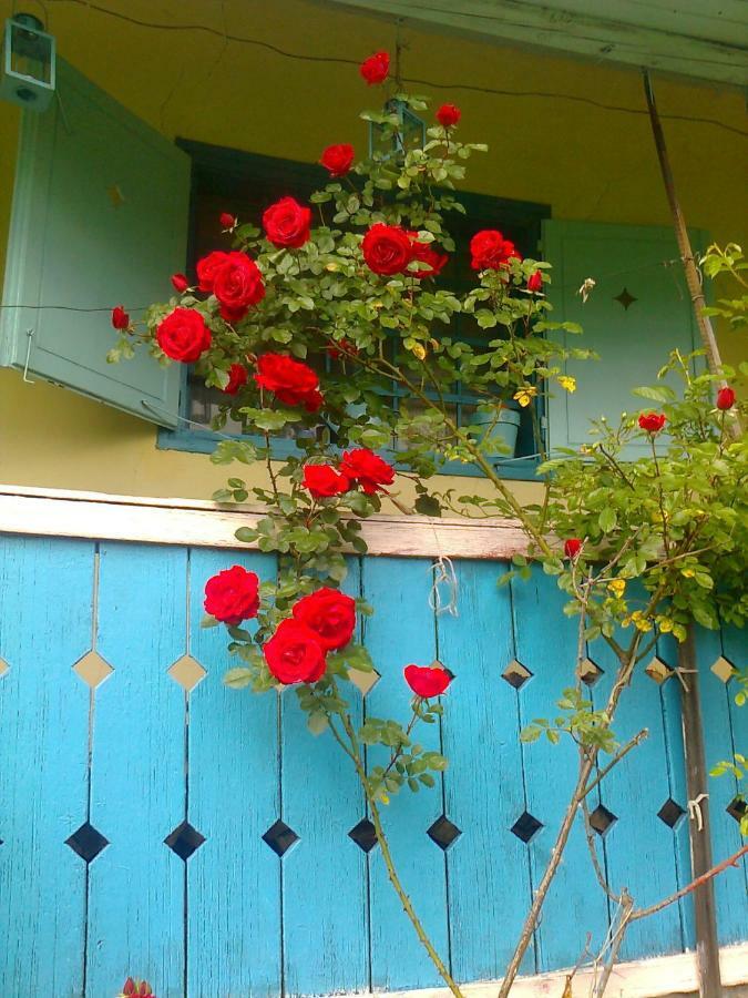 Blue Cottage Podvrh  Екстериор снимка