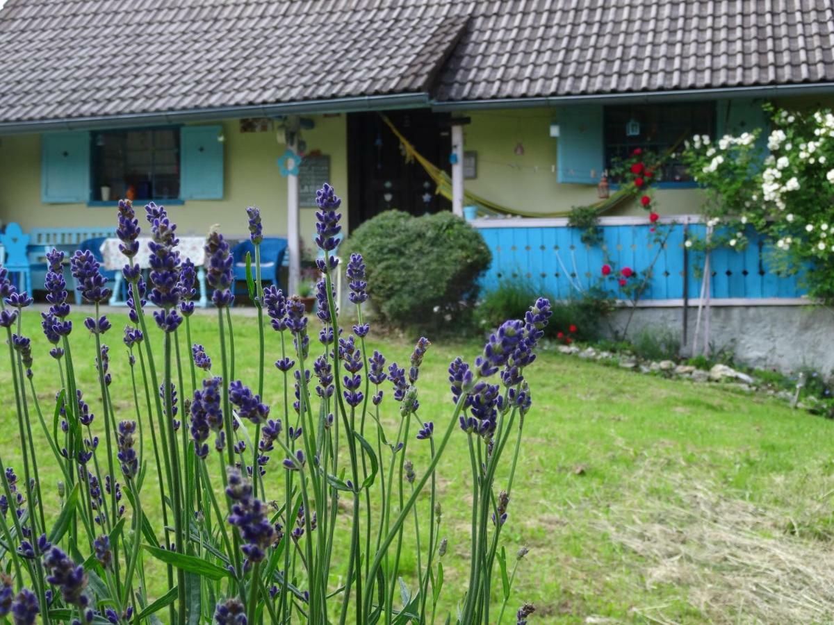 Blue Cottage Podvrh  Екстериор снимка